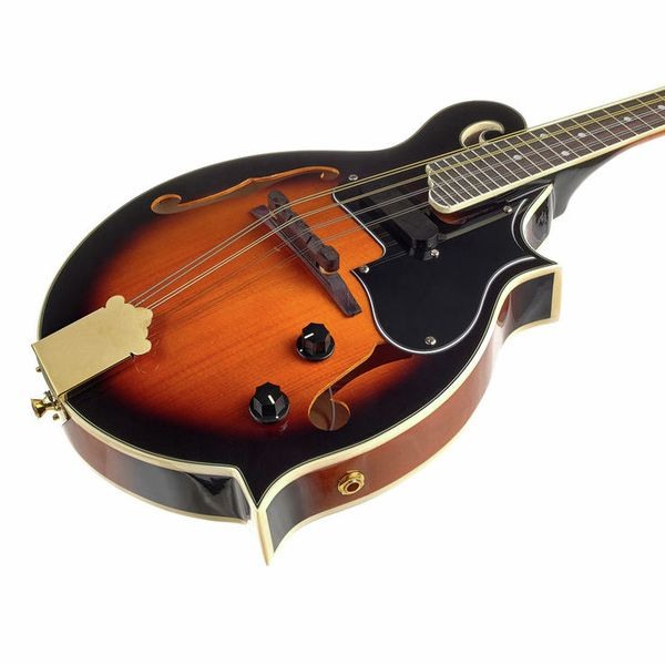 Harley Benton HBMA-100E- VS [4]