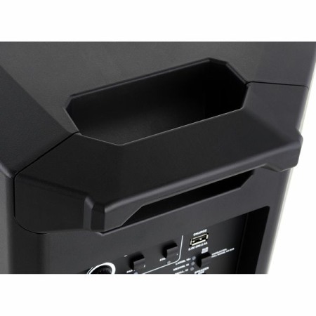 Boxa Alto TS 412 [8]