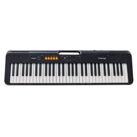 Casio CT-S100 [3]