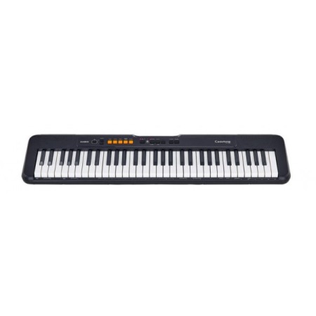 Casio CT-S100 [1]