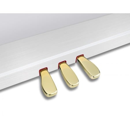 Casio GP-310 WE Celviano [5]