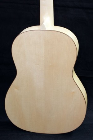 Chitara clasica Eco Silver Paltin 1/2 Hora [3]