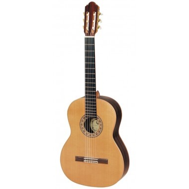 Chitare Clasice 4/4 - Chitara clasica SM 20 Regun Concert Hora Reghin