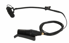 DPA d:vote 4099 Bass [1]