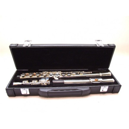 Flaut Parrot 6456 S [1]