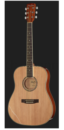 Harley Benton D-120NT [1]
