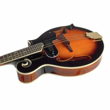 Harley Benton HBMA-100E- VS [4]