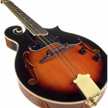 Harley Benton HBMA-100E- VS [5]