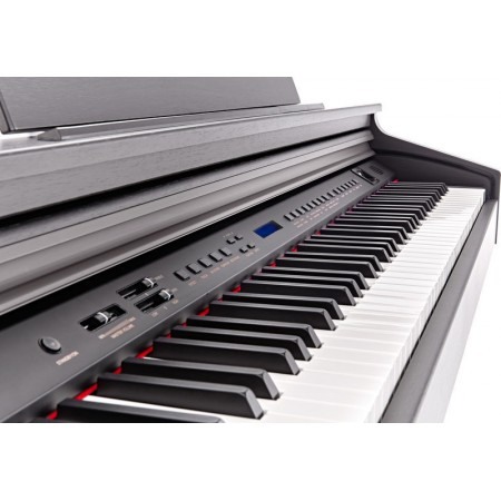 Hemingway DP-501 MKII RW [2]