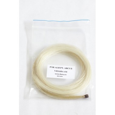 Orchestra - Par arcus alb vioara Hora Reghin