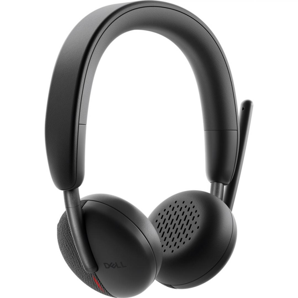 DELL WIRELESS HEADSET WL3024 [2]