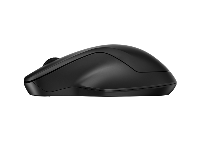 HP 255 Dual Wireless Mouse [2]