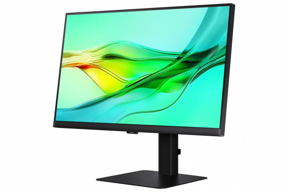 Monitor Samsung 24" LS24D600UAUXEN [2]