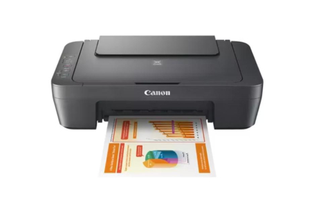 Multifunctionale Inkjet - CANON MG2551 A4 COLOR INKJET MFP GREY