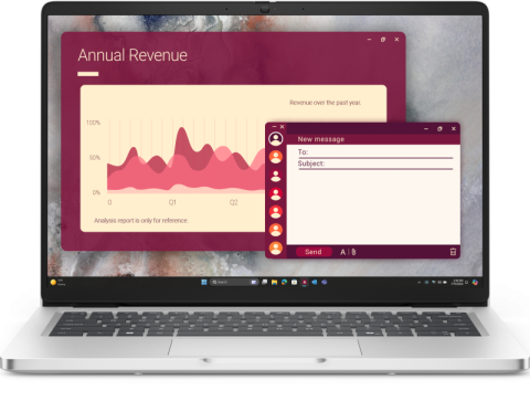 Laptopuri - DL PC14250 FHD+ U5-235U 16 512 W11P