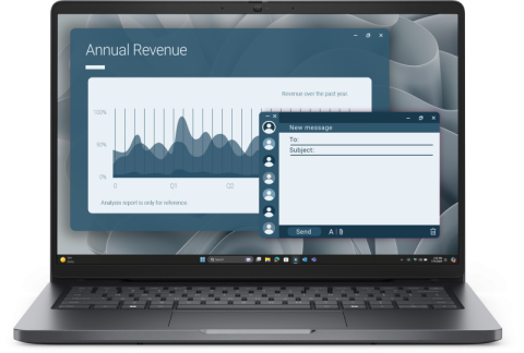 Laptopuri - DL PC14255 FHD R5-220 16 512 AMD W11P