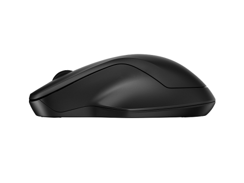 HP 255 Dual Wireless Mouse [1]