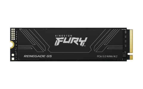 PC, Componente & Software - SSD Kingston  Fury Renegade, 4TB, M2 PCI