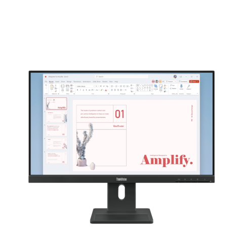Monitoare - ThinkVision E24-40 23.8" IPS FHD HMDI 3Y