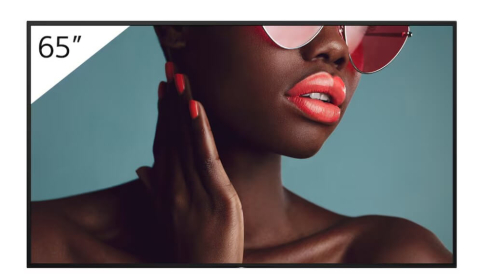 Displayuri profesionale pentru digital signage - Display profesional 65" Sony Bravia FW-65BZ40L AirPlay/Chromecast, 4K UHD 3840 x 2160, 700 cd/m², 24/7, Android, peisaj/portret, contrast 1200:1