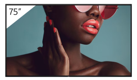 Displayuri profesionale pentru digital signage - Display profesional 75" Sony Bravia FW-75BZ40L AirPlay/Chromecast, 4K UHD 3840 x 2160, 700 cd/m², 24/7, Android, peisaj/portret, contrast 1200:1