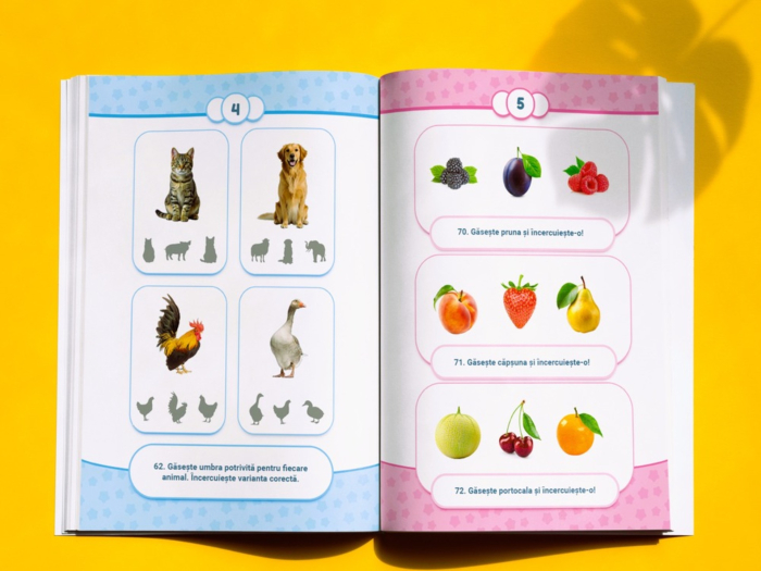 Universul meu în imagini - Caiet de activități vizuale pentru copii cu nevoi speciale [2]