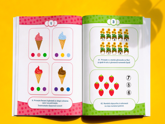 Universul meu în imagini - Caiet de activități vizuale pentru copii cu nevoi speciale [2]