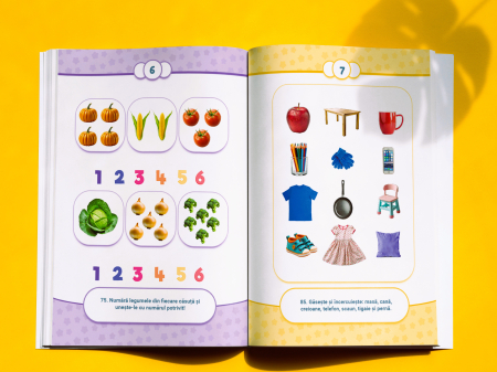 Universul meu în imagini - Caiet de activități vizuale pentru copii cu nevoi speciale [2]