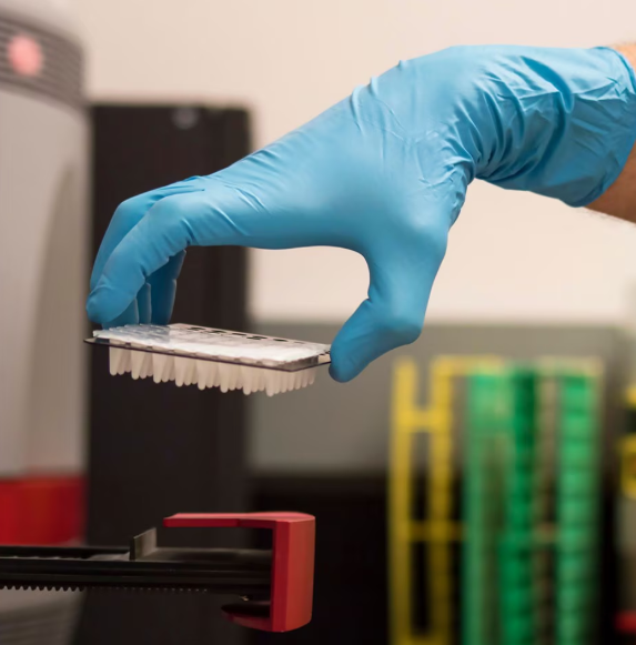 Set 100 Mănuși medicale Nitrylex Classic, nitril, fără pudră, albastre, mărimea L [5]