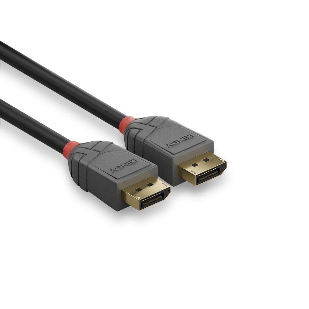 Cablu Lindy 3m DisplayPort 1.4, Anthra L [2]