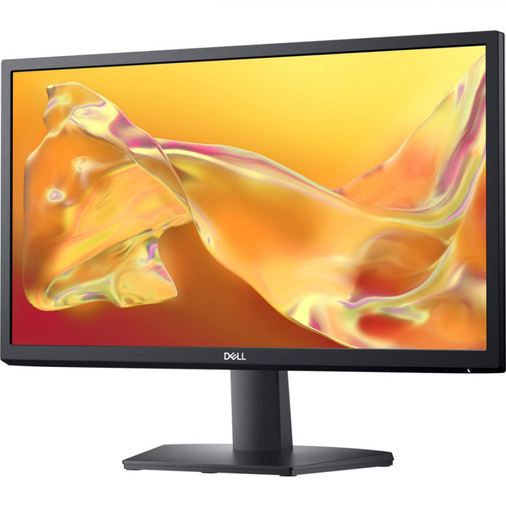 DL MONITOR 21.45" SE2225H 1920 x 1080 [2]