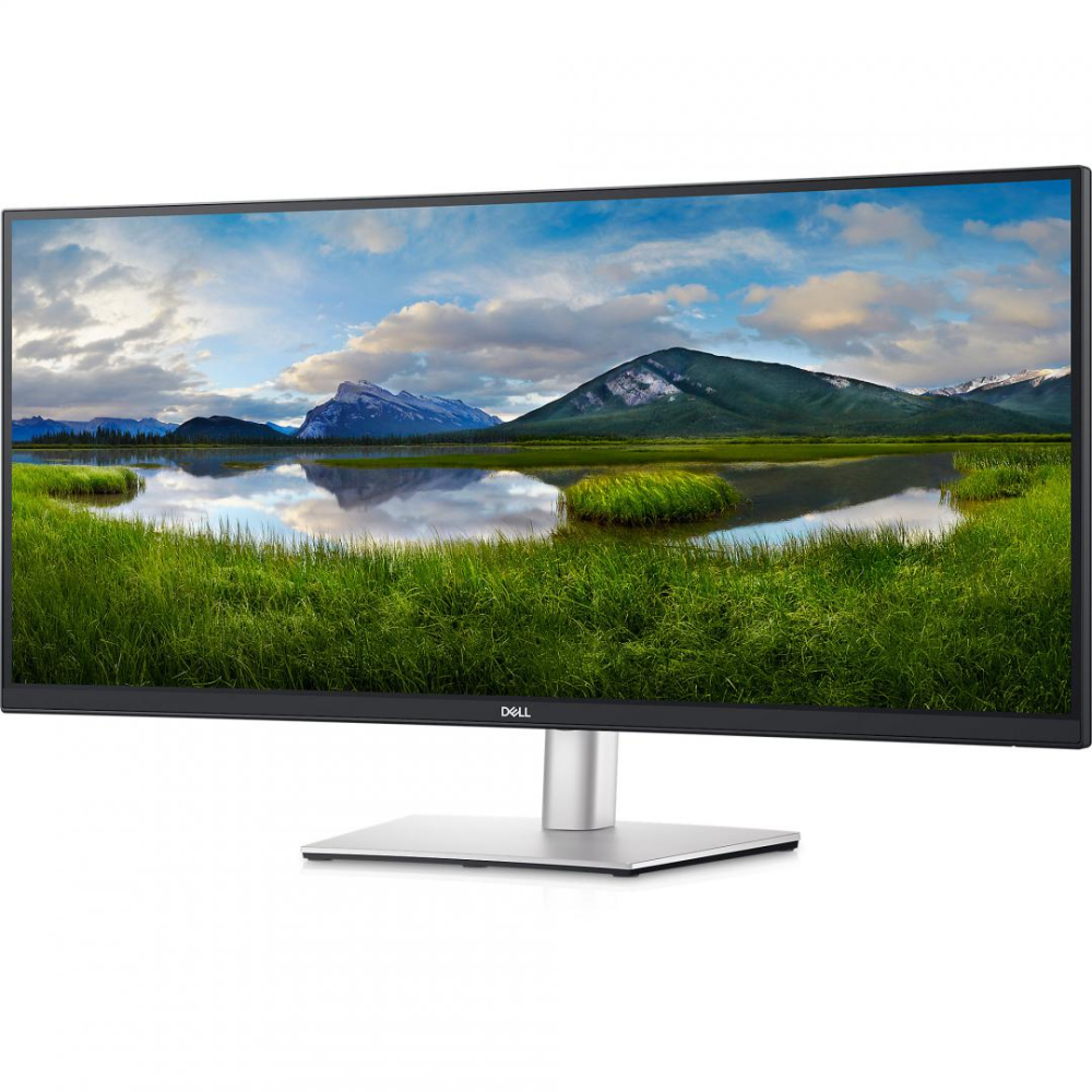 DL MONITOR 34" P3424WE 3440 x 1440 [4]