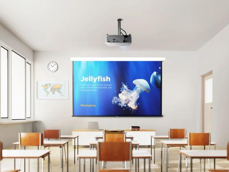 PROJECTOR Viewsonic PA504W [4]