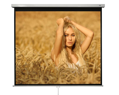 ECRAN PROIECTIE 240 x 240 CM [3]