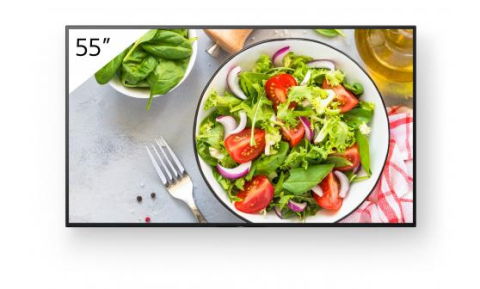 Ecrane semnalistica digitala - Monitor signage SONY FW-55BZ35L