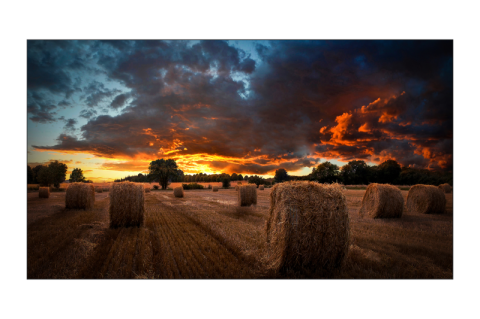 Accesorii ecrane - Monitor videowall SAMSUNG VM55B-U 3.5mm