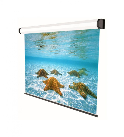 Accesorii videoproiectoare - Sopar ecr. pr. electr. Proff 350x265 4:3