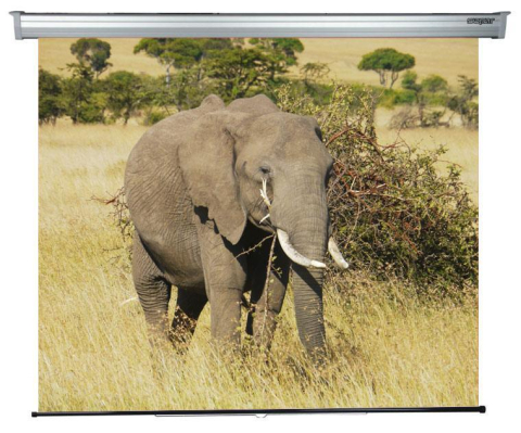 Accesorii videoproiectoare - Sopar ecr. pr. manual Plat 200x210 1:1