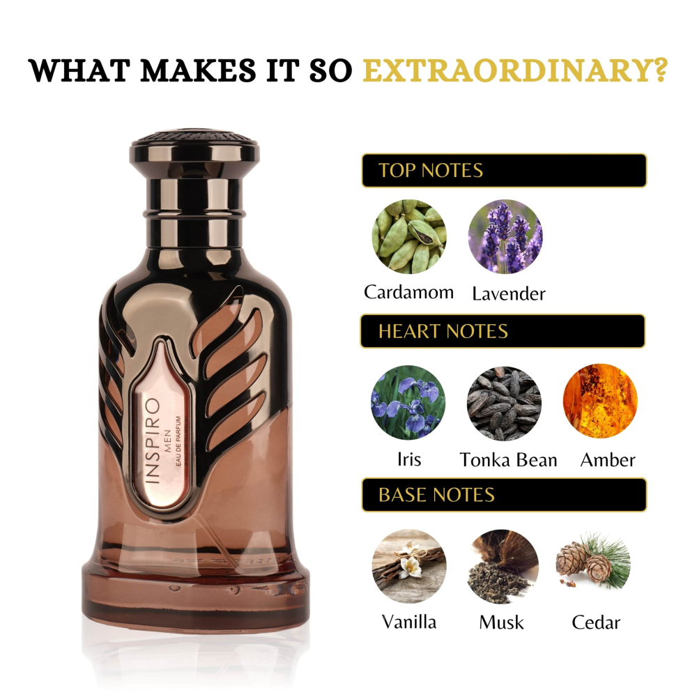 apa-de-parfum-riiffs-inspiro-men-100ml-barbati [6]