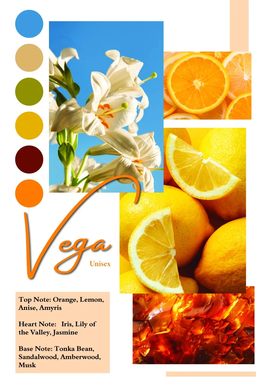 apa-de-parfum-vega-by-patric-100ml-femei [3]