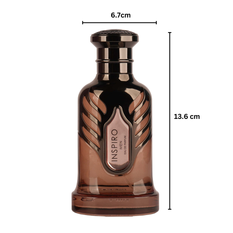 apa-de-parfum-riiffs-inspiro-men-100ml-barbati [4]