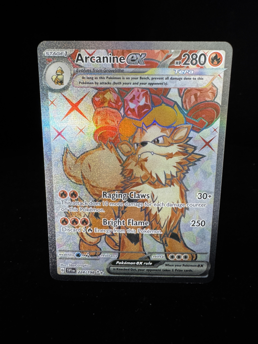 Arcanine ex (SVI224) - NM | Pokemon Scarlet & Violet [2]