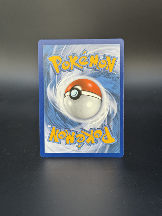 Charizard VMAX (SWSH 261) - NM | Pokemon SWSH Black Star Promos [2]