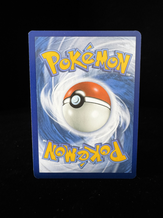 Garchomp ex (PAR219) - NM | Pokemon Paradox Rift [5]