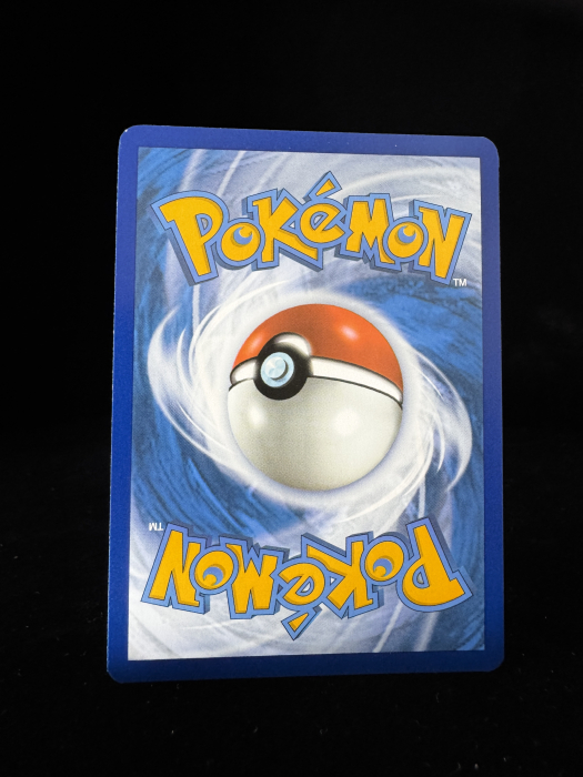 Garganacl (PAR202) - NM | Pokemon Paradox Rift [7]