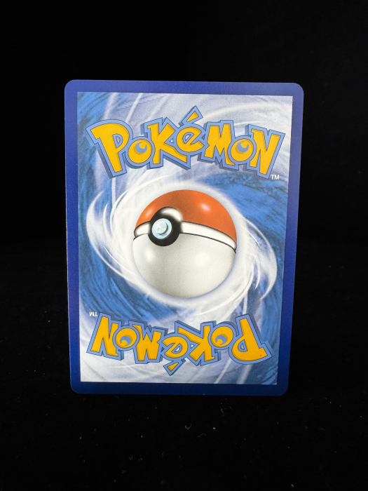 Leafeon V (CRZ013) - NM | Pokemon Crown Zenith [5]