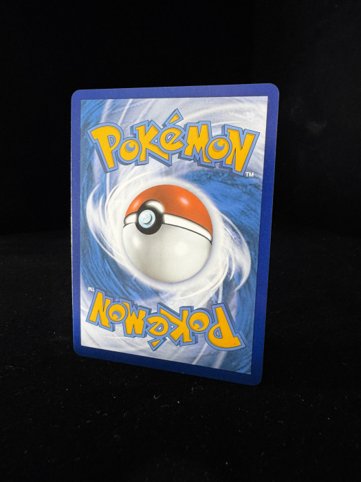 Leafeon V (CRZ013) - NM | Pokemon Crown Zenith [7]