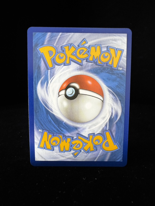 Leafeon V (SWSH194) - NM | Pokemon SWSH Black Star Promos [5]