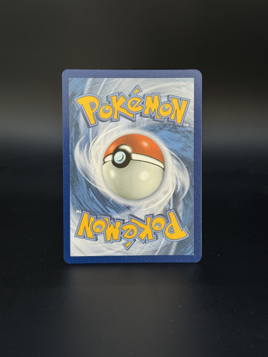 Bloodmoon Ursaluna ex (TWM 216) - NM | Pokemon Twilight Masquerade [2]