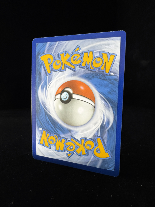 Pyroar (PAL200) - NM | Pokemon Paldean Evolved [7]